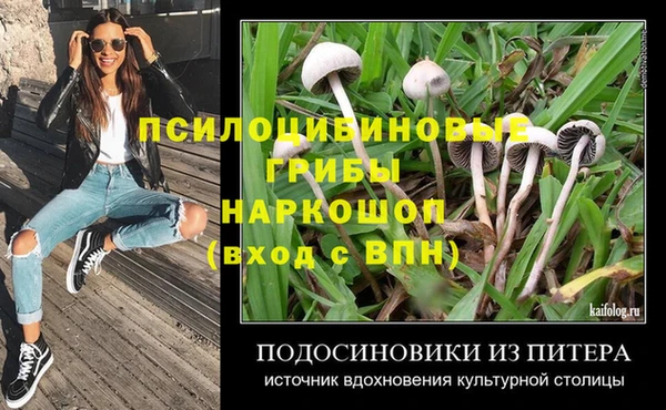 a pvp Алзамай