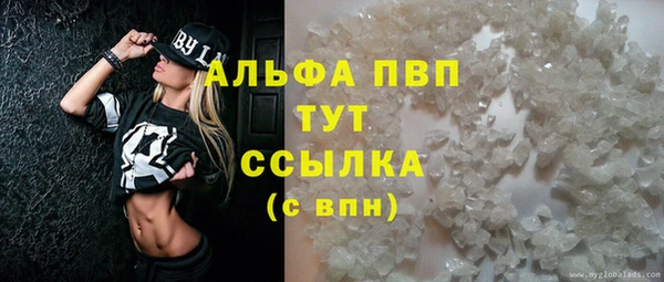 a pvp Алзамай