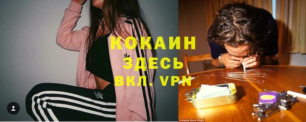 a pvp Алзамай