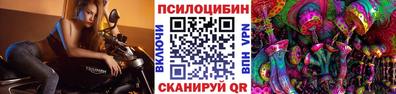 Галлюциногенные грибы мицелий  Полярные Зори 